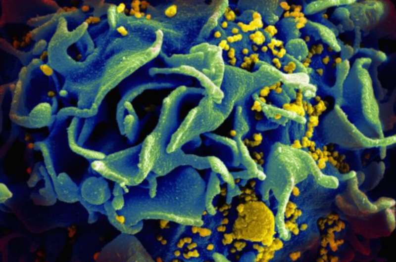 مدلهای پیشبینی بیماری قلبی در بیماران HIV در کشورهای مختلف خطا دارند