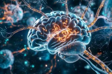 توموگرافی اشعه ایکس ساختار روده و مغز را در بیماری آلزایمر آشکار میکند