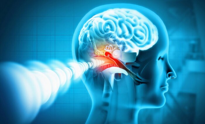 واکنش عضلات گوش به افزایش سختی پردازش صداها تأیید شد