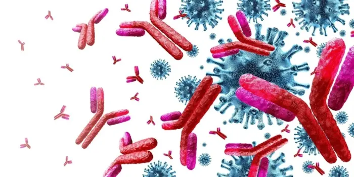 تحلیل 220 نمونه خون الگوی تحول سلولهای ایمنی را در طول زندگی نشان داد